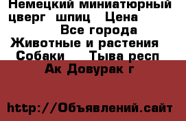 Немецкий миниатюрный(цверг) шпиц › Цена ­ 50 000 - Все города Животные и растения » Собаки   . Тыва респ.,Ак-Довурак г.